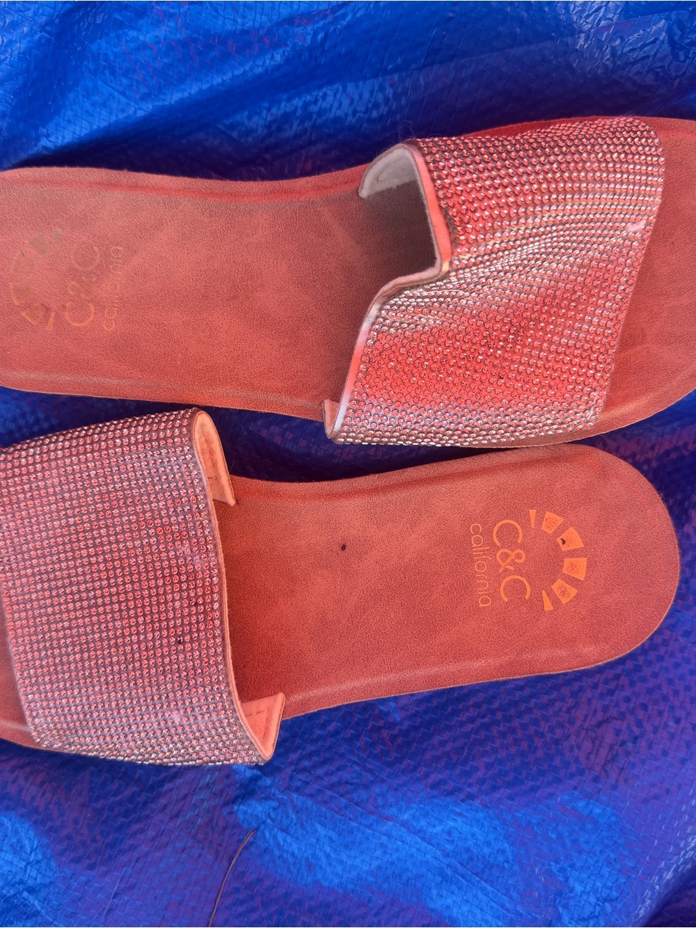 C&C California Blush Crystal Embellished Slide Sandals